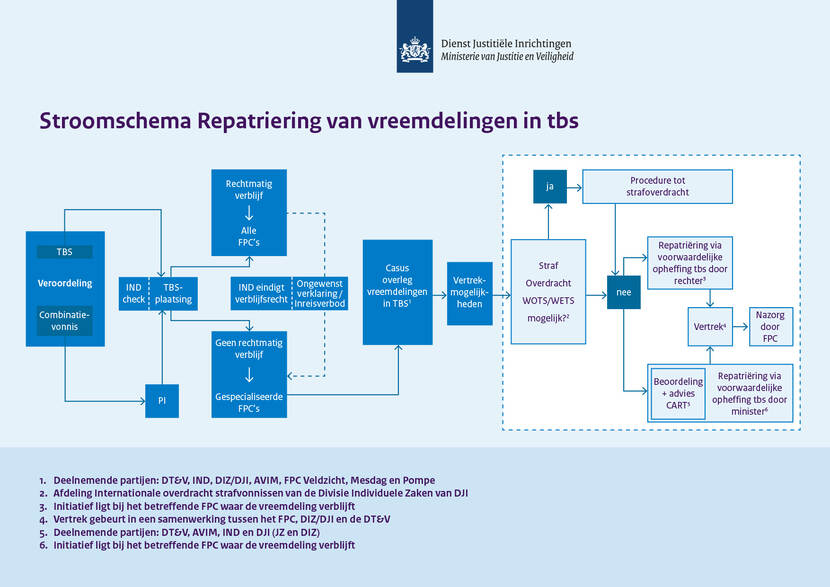 Illustratie stroomschema repatriëring vreemdelingen in tbs